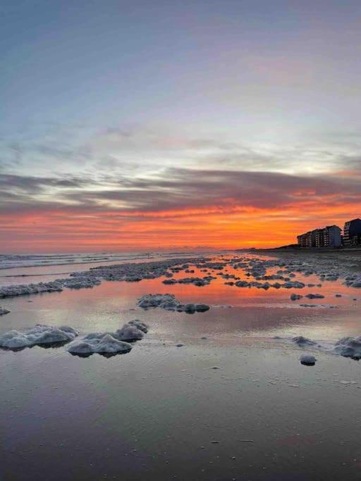 Face A La Mer, Appartement Rdc Bray Dunes Exterior photo